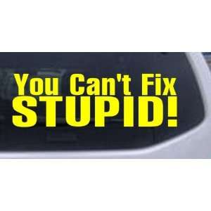  You Cant Fix Stupid Funny Car Window Wall Laptop Decal 
