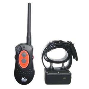  D.T. Systems H2O 1 Mile Remote Trainer with Rise and Jump 