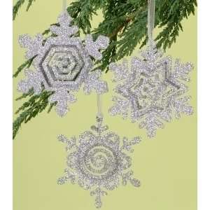  Club Pack of 24 Home for the Holidays Snowflake Christmas 
