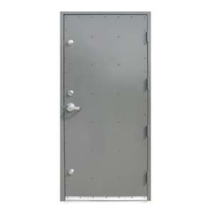    36W X 80H Fema 320 Stormsafe® Door & Frame