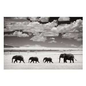  Andy Biggs   Elephants And Clouds Giclee