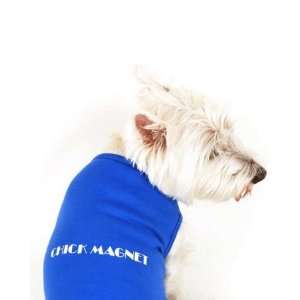  Designer Dog T Shirt   Chick Magnet Dog T Shirt   Blue 