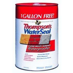  Thompsons 24106 VOC Water Seal Waterproofer