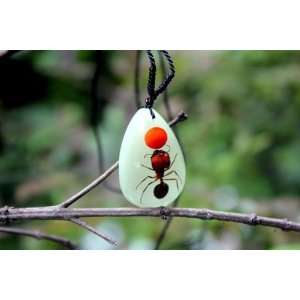  Real Amber Insect Necklace Jewelry Black Ant (Glow in the Dark 