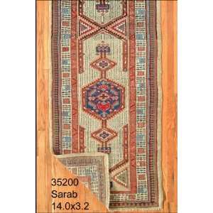 3x14 Hand Knotted Sarab Persian Rug   32x140 