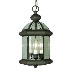 Trans Globe Lighting 4343 BN Brushed Nickel Outdoor Traditional 
