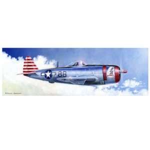  P 47D Thunderbolt Giclee Poster Print by Douglas Castleman 