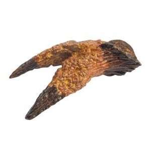  3 Inch Perfect Replica of Dinosaur Claw or Tooth Toys 