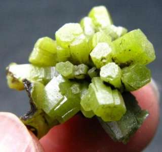 rare green PYROMORPHITE crystal specimen  