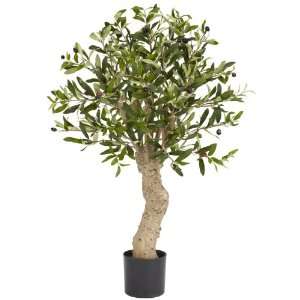 Real Looking 2.5 Olive Silk Tree Green Colors   Silk Tree 