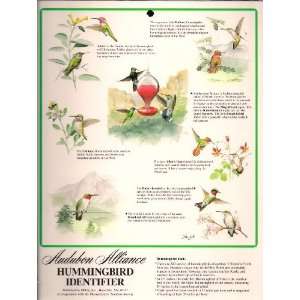  Audubon Alliance   Hummingbird Identifier 