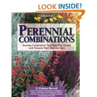 Perennial Combinations Stunning Combinations That Make Your Garden 