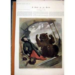  Colour Print 1896 Woman Fainting Big Grizzly Bear Growl 