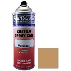   Mission Tan Metallic Touch Up Paint for 1982 Nissan 210 (color code