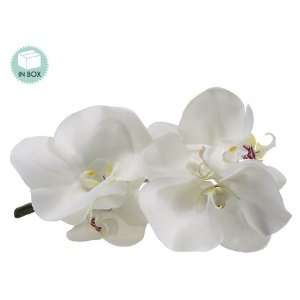Faux 2.7hx3.1wx5.7l Phalaenopsis Orchid Boutonniere (2 Ea./Acetate 