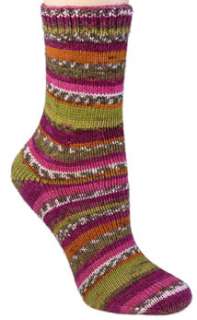 Comfort Sock Berroco Yarn #1816 Cosmopolitan  