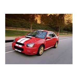  8 Rally Stripes Fits All Cars #89 Automotive