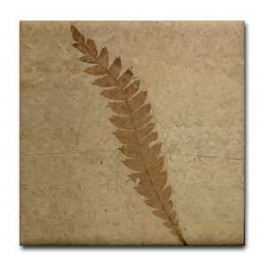  Fern Leaf Fossil Art Leaves Hobbies Tile Coaster by 