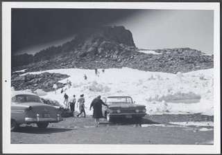 Car Photo 1959 Oldsmobile & 1954 Ford in Snow 381851  