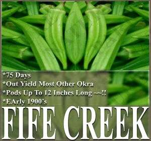 Okra seeds   HEIRLOOM FIFE CREEK COWHORN ~ OUT YIELDS ~  