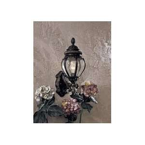 Outdoor Wall Sconces The Great Outdoors GO 9050