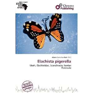    Elachista pigerella (9786138422440) Adam Cornelius Bert Books