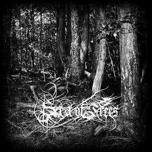 Sea of Trees   Aokigahara CD 2011 melancholic black metal Eindig 
