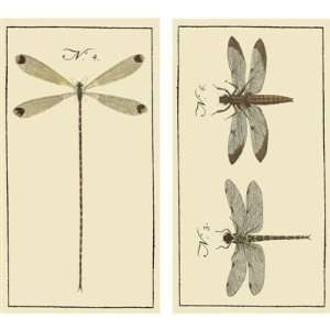  Dragonfly Large Decorative Wood Matches Set Of 3