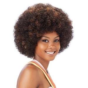  Freetress Equal Synthetic Wig   Afro   Medium   BL Beauty