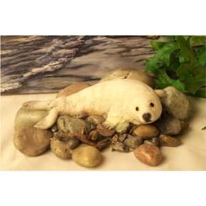  Sherratt & Simpson   Seal Pup On Rocks 
