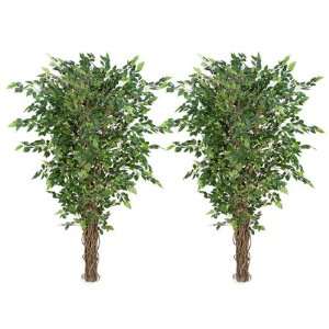  TWO 6.5 Artificial Ficus Trees with Multiple Real Wood 