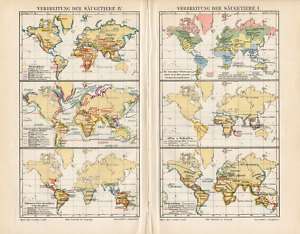 Antique Map DISPERSION OF MAMMALS WORLD MAP Meyers 1895  