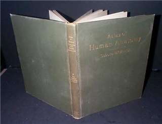 ATLAS OF HUMAN ANATOMY, Vol. 2, Sobotta McMurrich 1930   Illustrated 