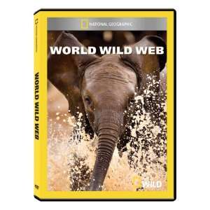  National Geographic World Wild Web DVD R 