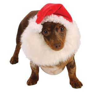  Go Dog Christmas Santa Dog Costume   XSmall