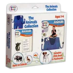  Early Learning Animals Collection 