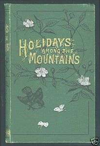 Holidays Among Mountains WALES Welsh Christmas 1880 Edwards 