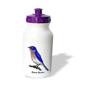  Birds   BIRDS eastern bluebird 3 on white   Water Bottles Sports