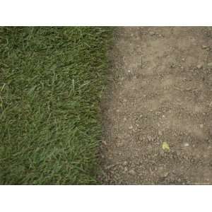  Turf is Put Down in a Familys Backyard, Lincoln, Nebraska 