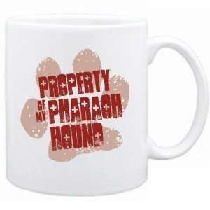  New  Property Of My Pharaoh Hound  Mug Dog