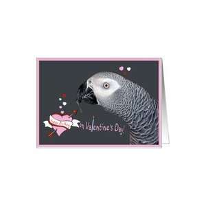  Valentines Day Birthday African Grey Parrot Card Health 