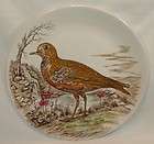 british anchor china golden plover dinner plate wild birds of
