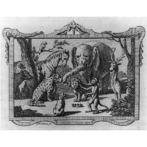Jungle animals in conference,1768,G Bickham,S Wale