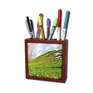   Albarracin   Tile Pen Holders 5 inch tile pen holder