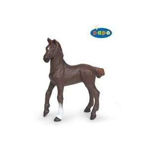  Dark Alezan English Foal Toys & Games