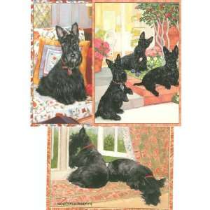 Scottish Terrier Boxed Notecards