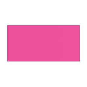  Plaid Simply Screen Ink 2 Ounces Omg Pink SMPSCINK 98530 
