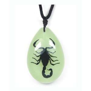 Real Insect Necklace Black Scorpion (GlowBig)