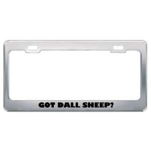 Got Dall Sheep? Animals Pets Metal License Plate Frame Holder Border 