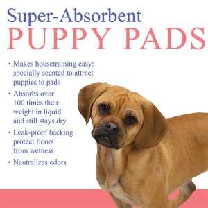 ClearQuest Dog Puppy Wee Wee Training Pads 400ct REG  
